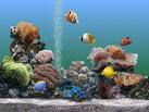 aquario