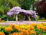 jardim