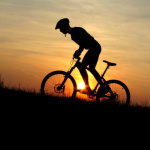 mountain biker